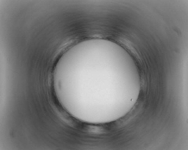 X0000115500167200911061029