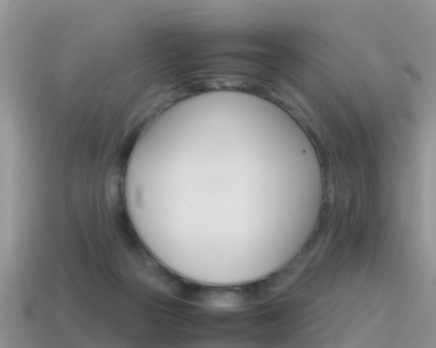 X0000115500169200911061029