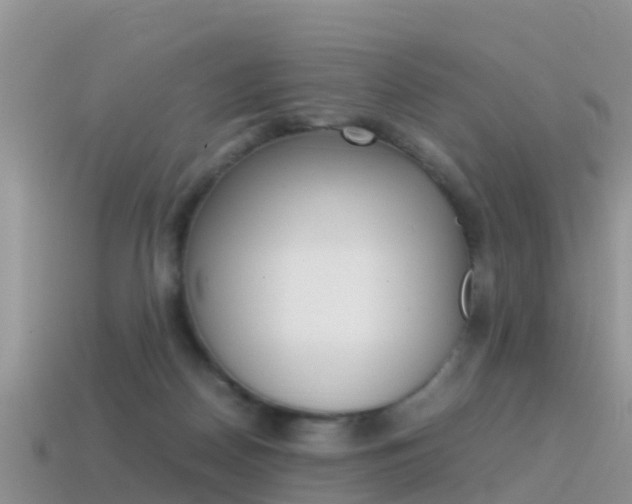 X0000115500170200911061029
