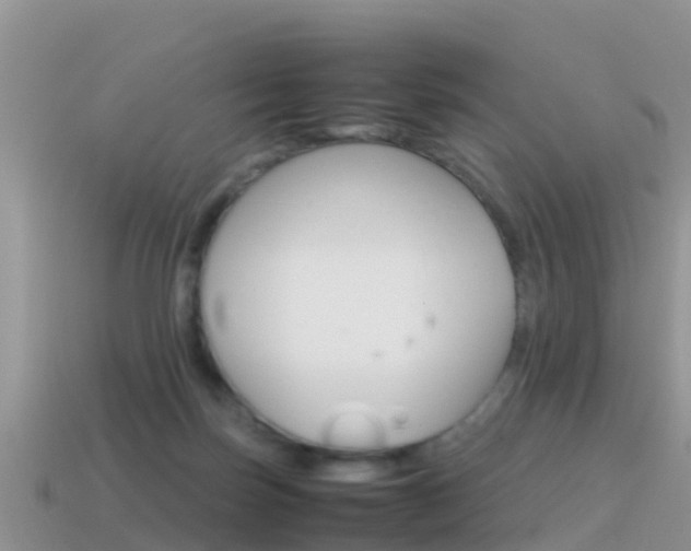 X0000115500171200911061029