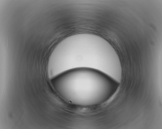 X0000115500174200911061029