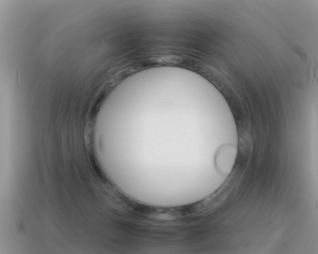 X0000115500175200911061029