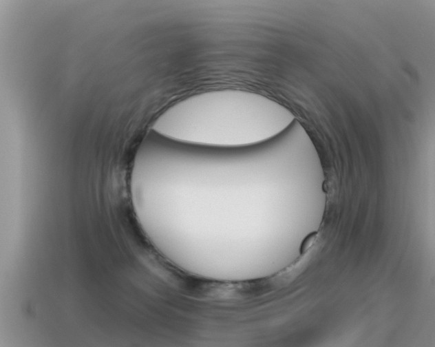 X0000115500182200911061030