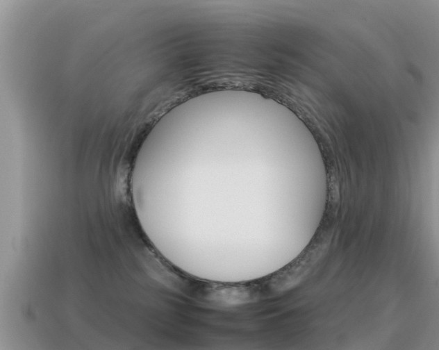 X0000115500185200911061030