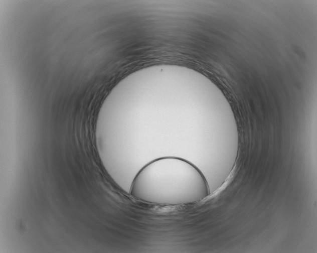 X0000115500186200911061030