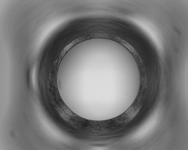 X0000115500189200911061030