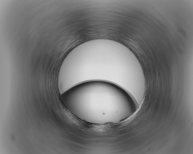X0000115500190200911061030