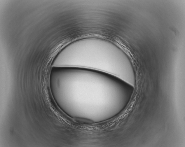 X0000115500193200911061029