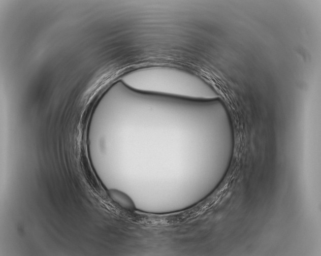 X0000115500194200911061029
