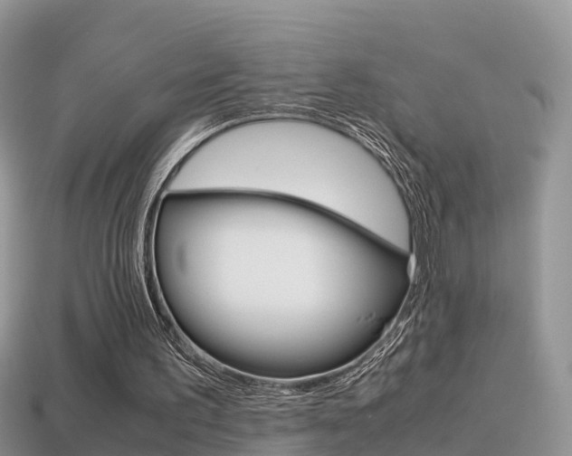 X0000115500195200911061029