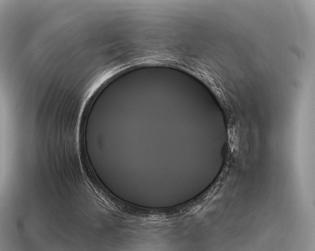 X0000115500196200911061029