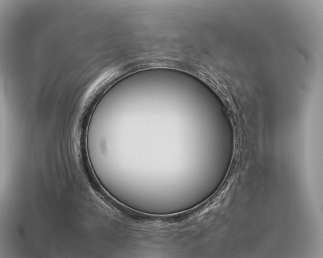 X0000115500197200911061029