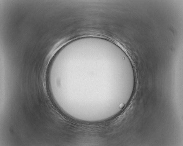 X0000115500199200911061029