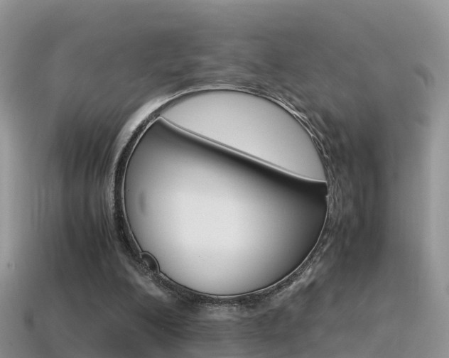 X0000115500200200911061029