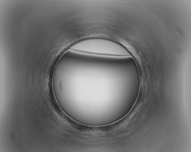X0000115500201200911061029