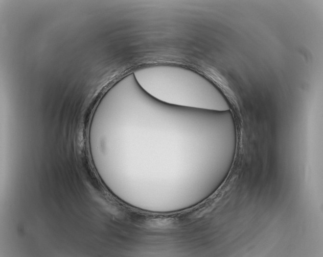 X0000115500202200911061029