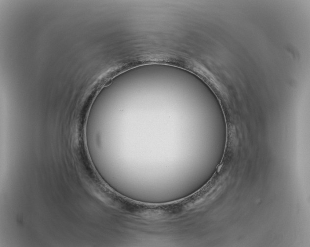 X0000115500203200911061029
