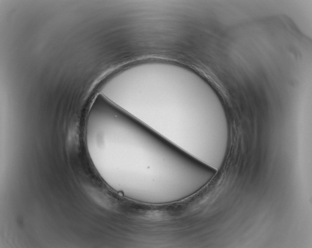 X0000115500204200911061029