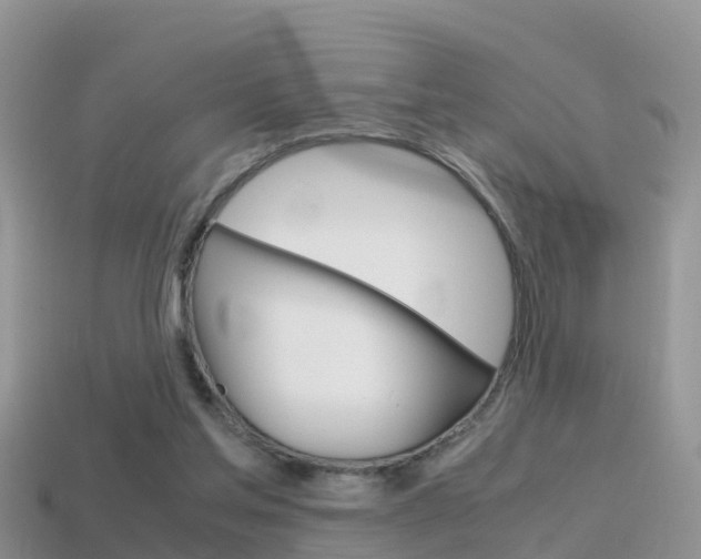X0000115500205200911061029