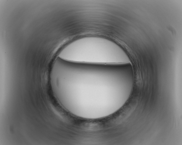 X0000115500208200911061029
