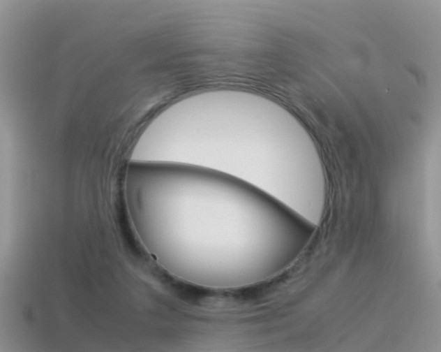 X0000115500211200911061029