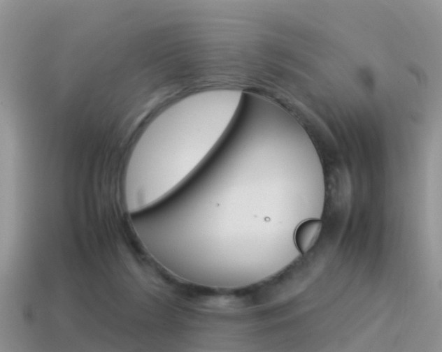 X0000115500212200911061029