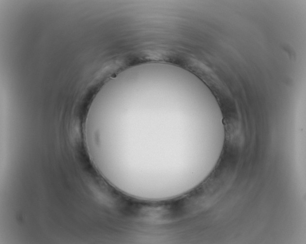 X0000115500213200911061029
