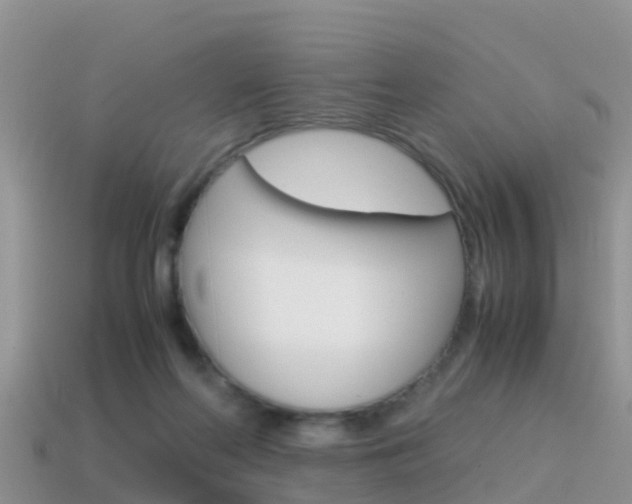 X0000115500214200911061029