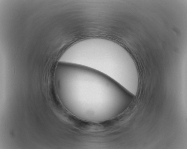 X0000115500215200911061029