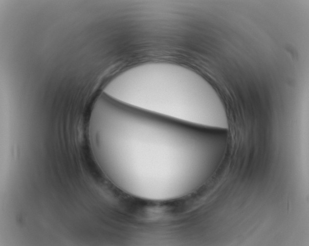 X0000115500216200911061029