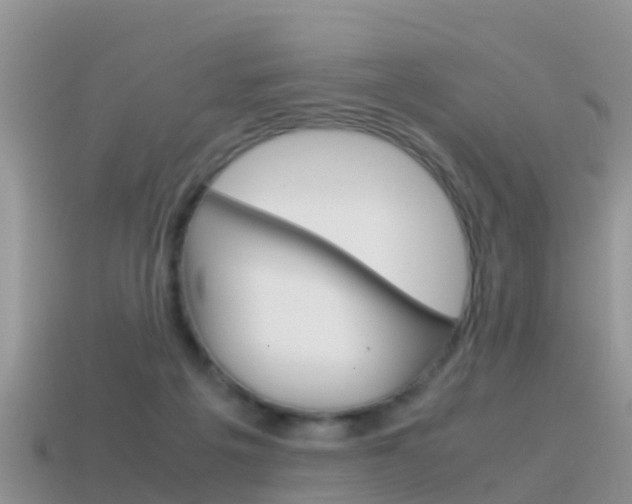 X0000115500217200911061029