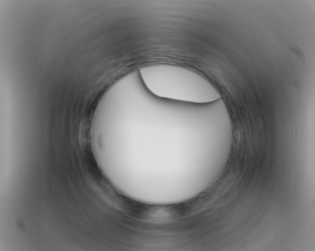X0000115500218200911061029