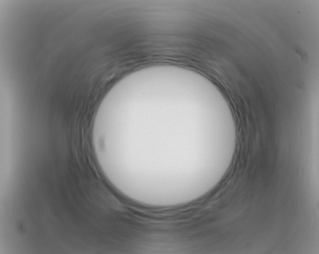 X0000115500219200911061029