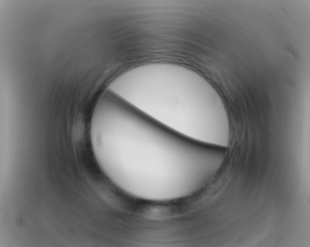 X0000115500220200911061029