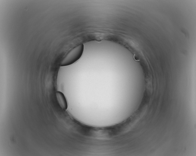 X0000115500221200911061029