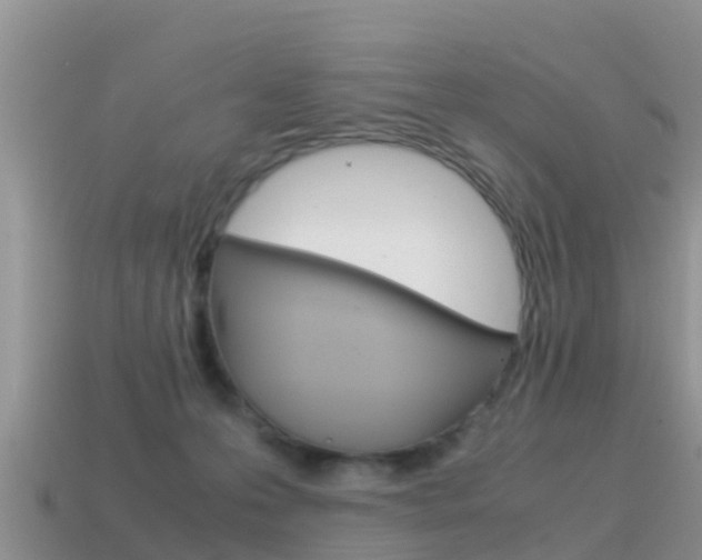 X0000115500223200911061029