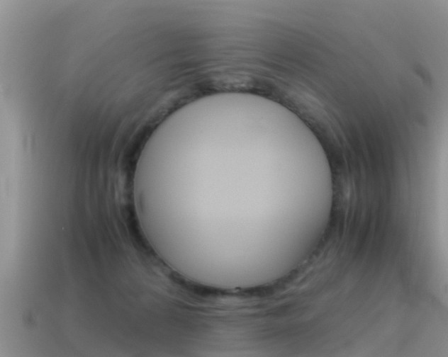 X0000115500224200911061029