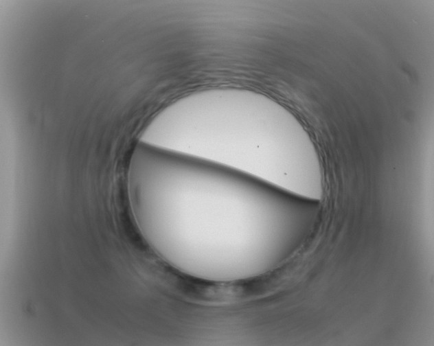 X0000115500225200911061029
