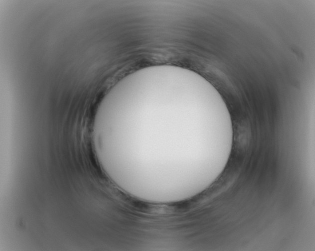 X0000115500226200911061029
