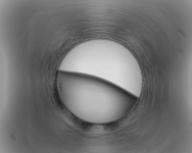 X0000115500227200911061029