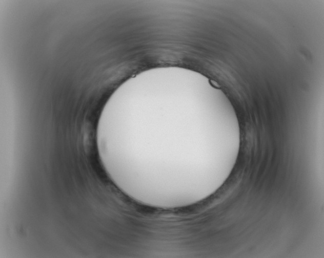 X0000115500228200911061029