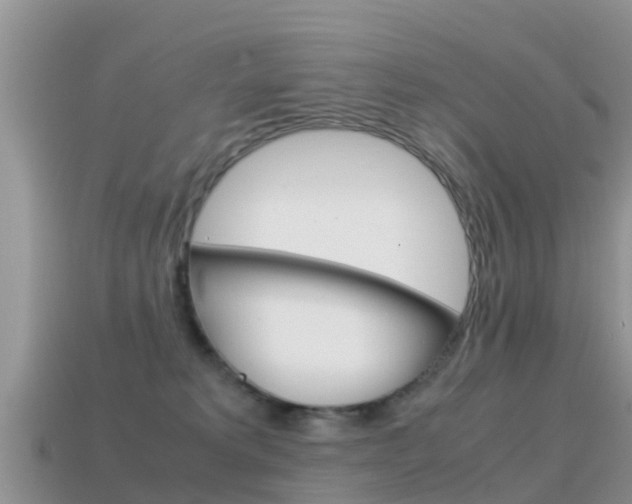 X0000115500229200911061029