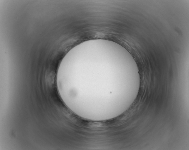 X0000115500230200911061029