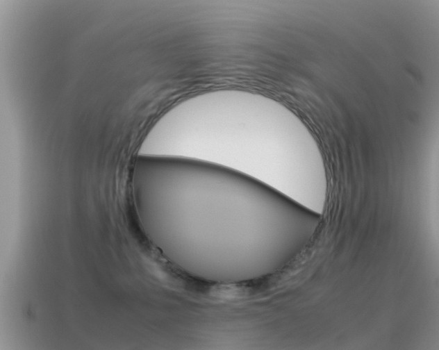 X0000115500231200911061029