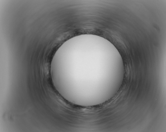 X0000115500232200911061029