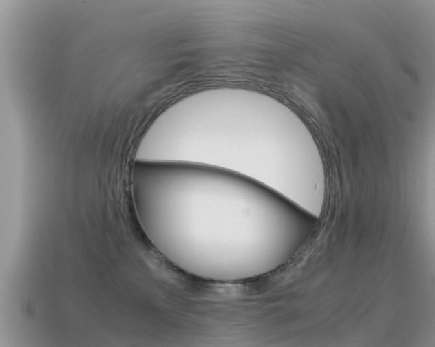 X0000115500233200911061029