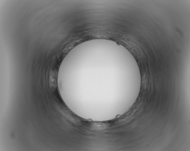 X0000115500234200911061029