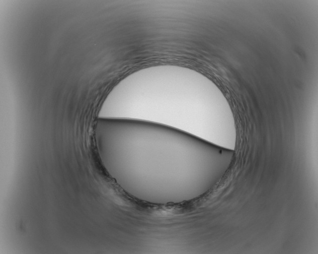 X0000115500235200911061029