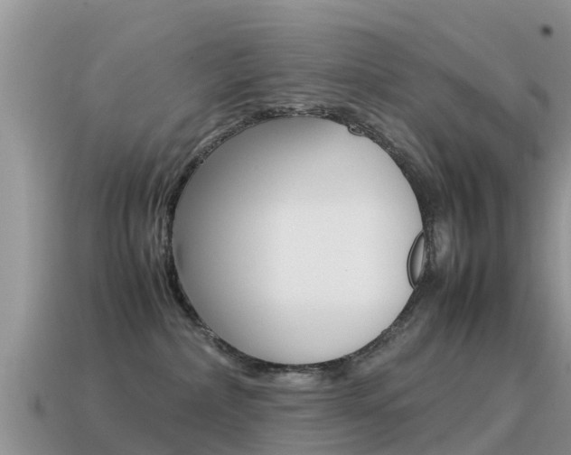 X0000115500236200911061029