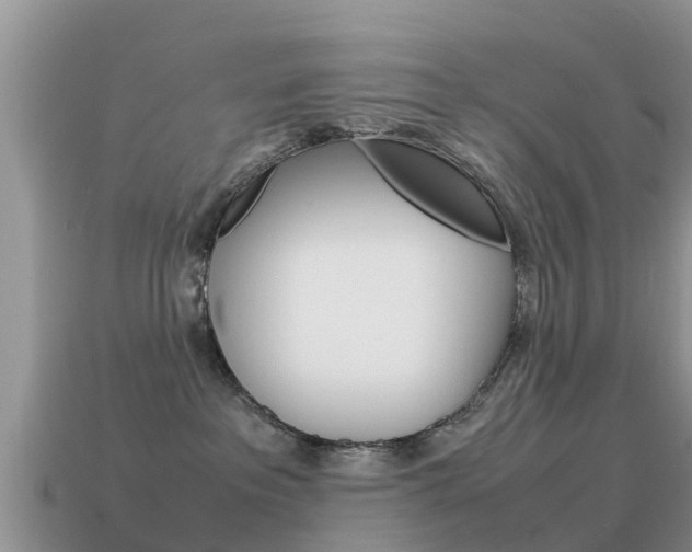 X0000115500237200911061029